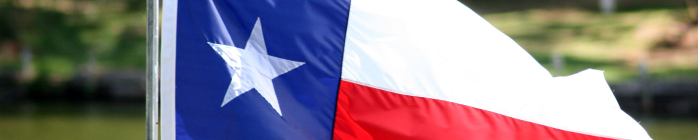 Banner for State Incentives